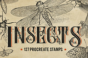 127 Procreate Insects stamps brushes, a Brush Add-On by Endete & Mazak brushes (Thumbnail 1 of 5)