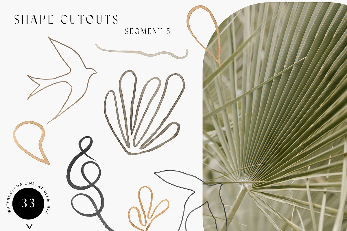 Matisse - Neutral Watercolor Art Set, an Illustration by Ines Beatriz (Photo 8 of 9)
