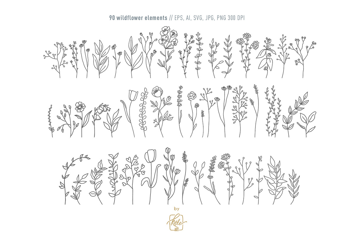 WILDFLOWER LINE ART, an Object Illustration by Kate Art (Photo 2 of 22)