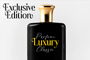 Badelosh Ralintesla Modern Font Duo, a Serif Font by Storytype Studio (Thumbnail 4 of 15)