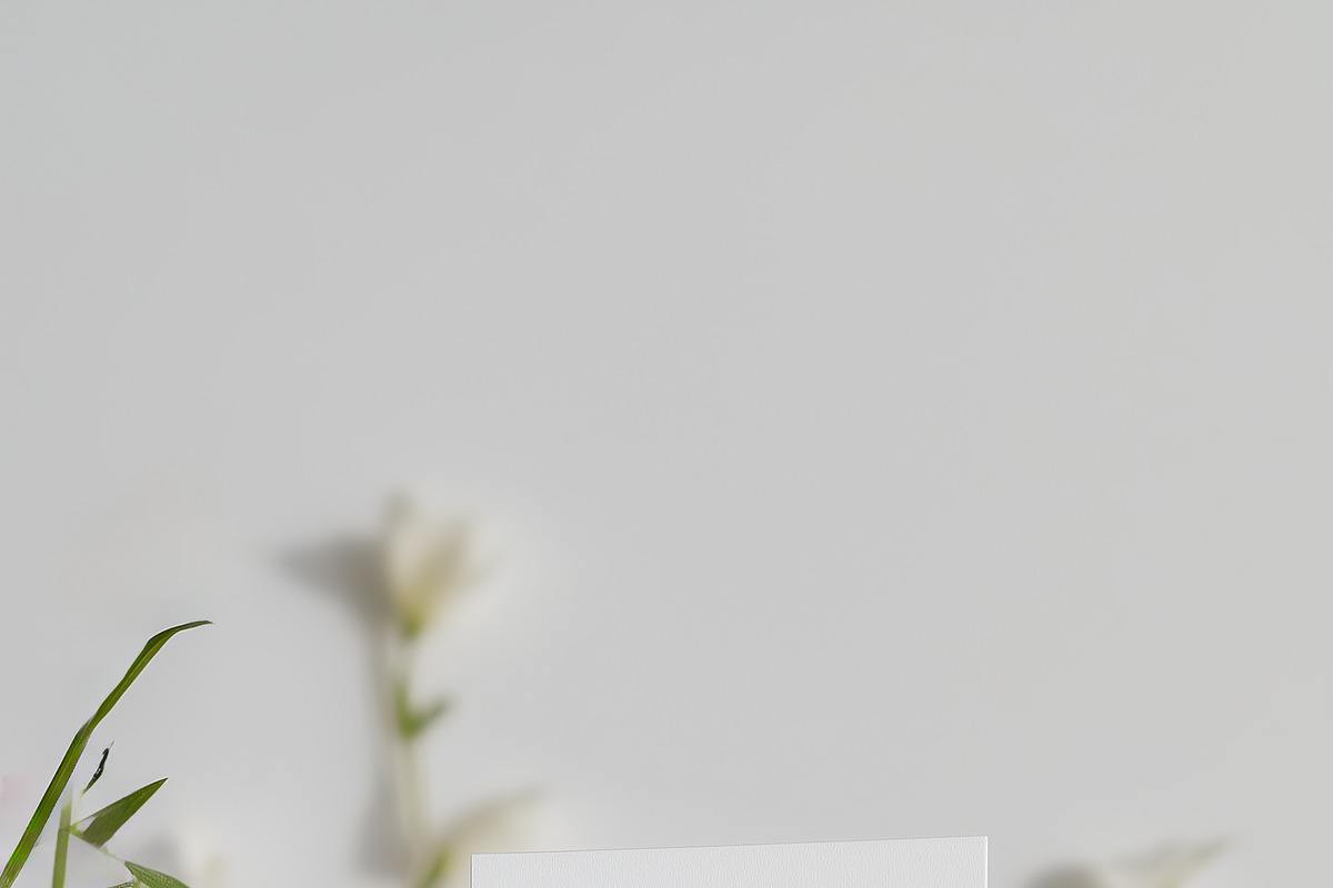 White Florals Watercolor Collection, a Decorative Illustration by Altea Design Studio (Photo 13 of 13)