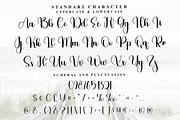Exist, a Handwritten Font by FreshTypeINK (Thumbnail 6 of 8)