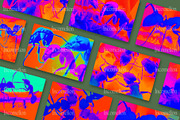 30 Psychedelic Ant Backgrounds, an Animal Illustration by Incomelion (Thumbnail 8 of 11)