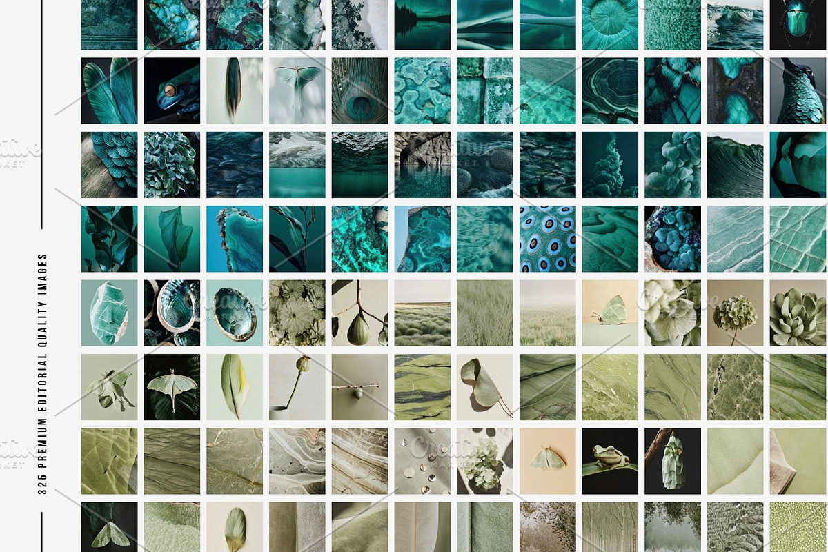 Cool nature | 325 stock photos, a Background Photo by Tale.Haus (Photo 14 of 19)