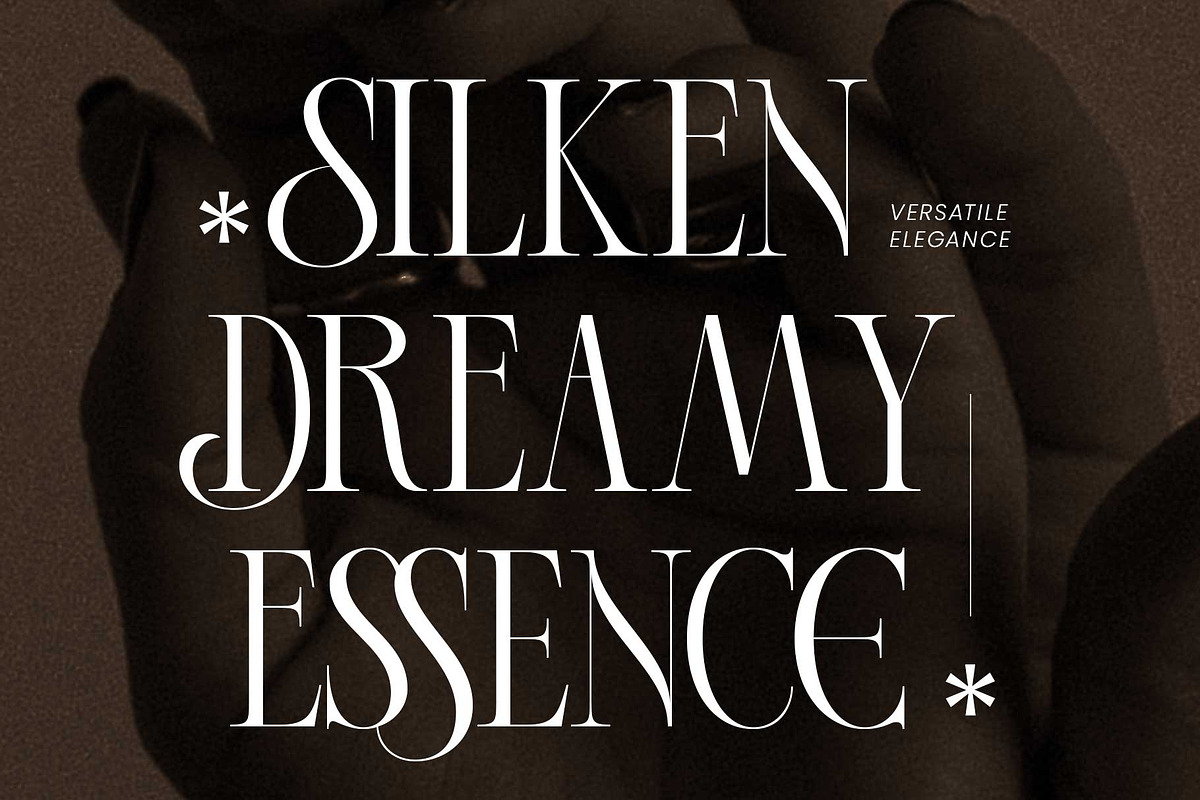 Imperial Grace - Modern Classic, a Serif Font by Novitype (Photo 2 of 12)