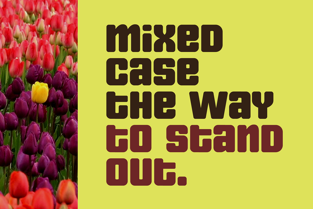 Nipok - Unicase Fancy Retro Display, a Font by Gravitype (Photo 2 of 12)