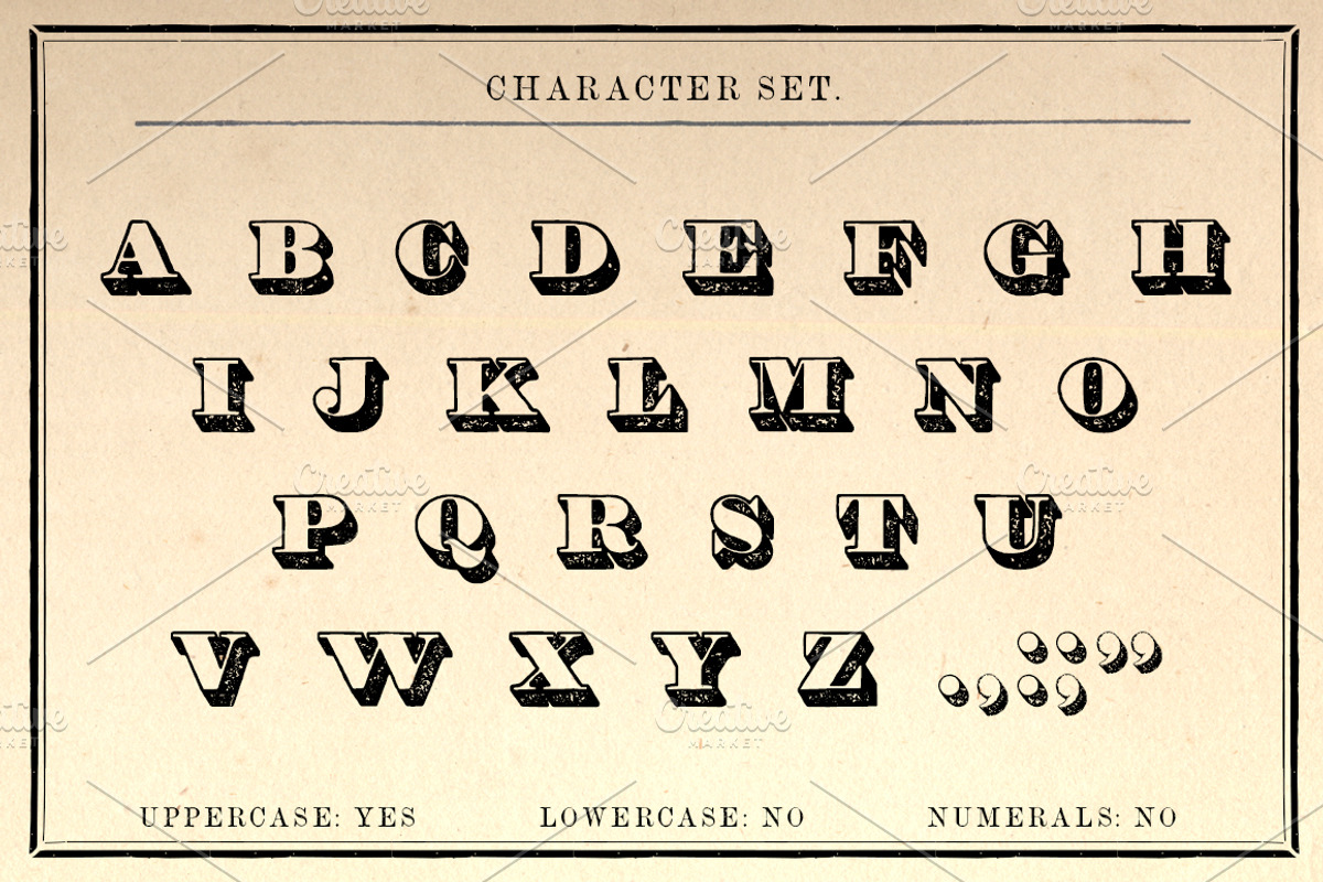 The Striped Pig Display Font, a Serif Font by New Blazing Star Press (Photo 2 of 3)