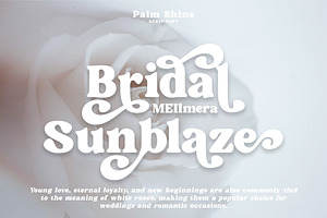 Palm Shine - Bold Swirl Serif