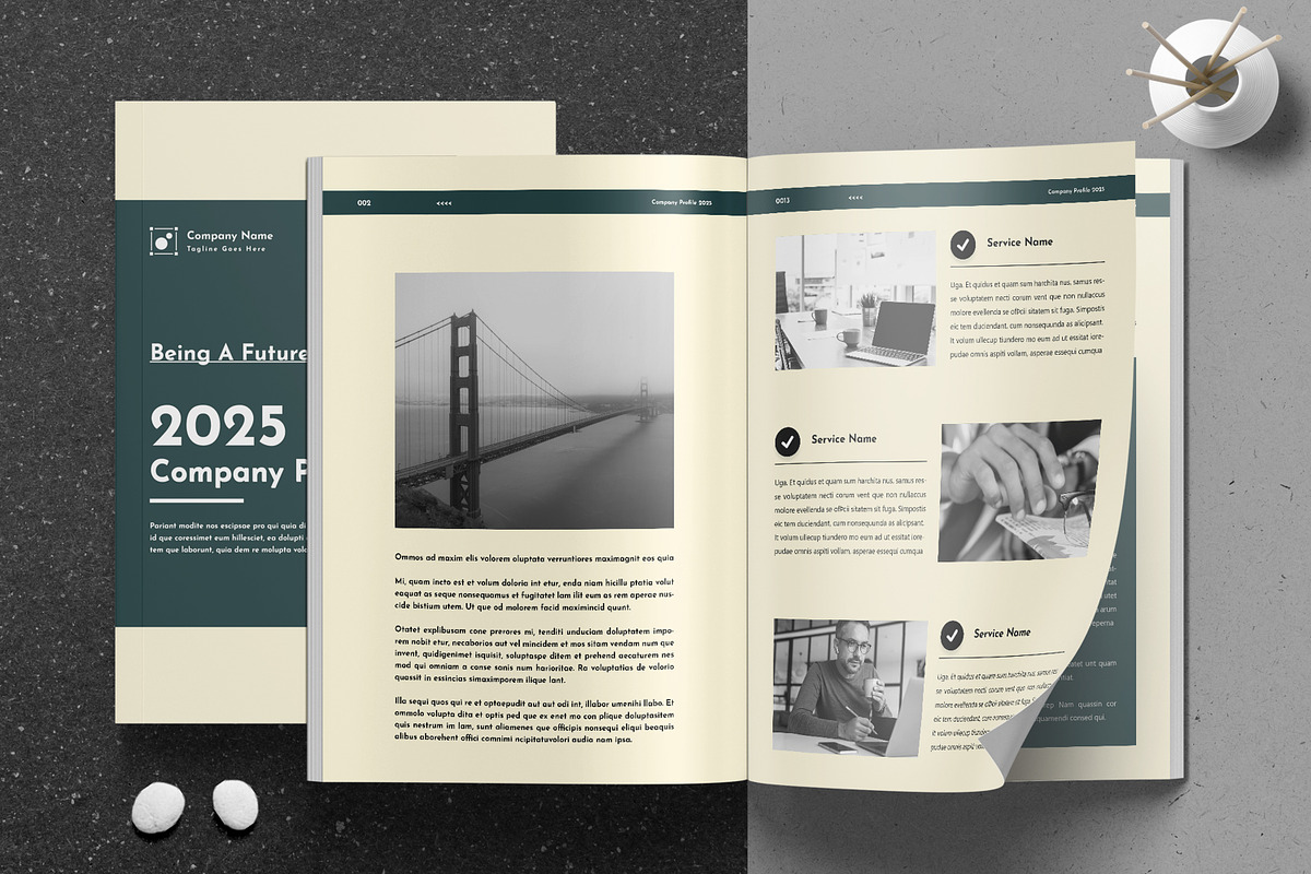 Company Profile Template InDesign