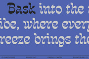 CS Flare – Reverse Contrast Font, a Serif Font by Craft Supply Co. (Thumbnail 2 of 8)