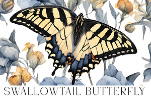 Swallowtail Butterfly