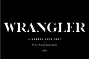 The Chic & Unique Modern Font Bundle, a Sans Serif Font by Tropical Type (Thumbnail 7 of 40)