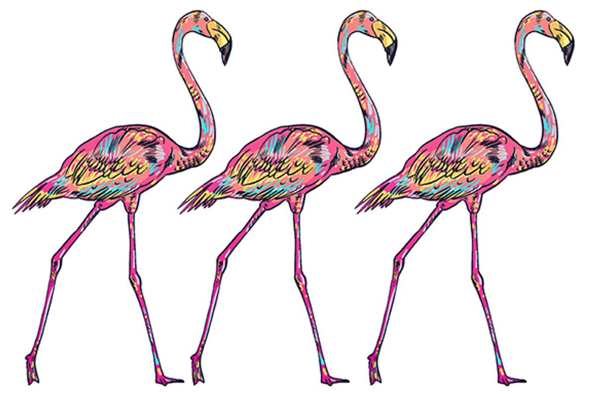 FLAMINGO, an Illustration by Tanya Akhmett (Photo 9 of 11)