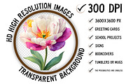 Whimsical Tulip Flower Clipart, an Illustration by Craft Nest (Thumbnail 2 of 11)
