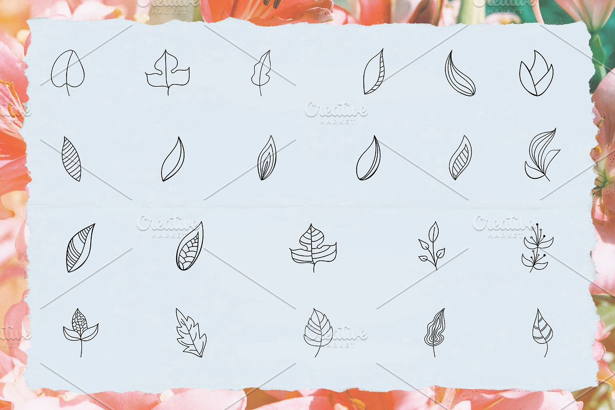 Bundle 62 Vector Botanical Elements, an Illustration by Mariia Kovalchuk (Photo 3 of 4)