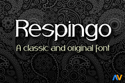 Respingo, a Serif Font by Wakoletras (Thumbnail 1 of 3)