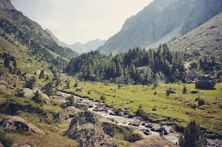 Mountain forest stock photo containing europe and mountain