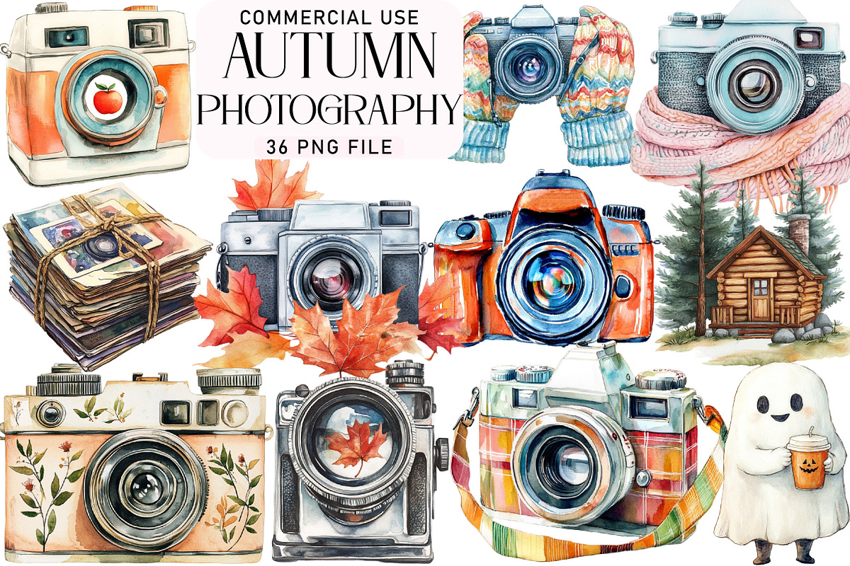 Autumn Photography Clipart, an Illustration by Daily.Designs (Photo 1 of 3)