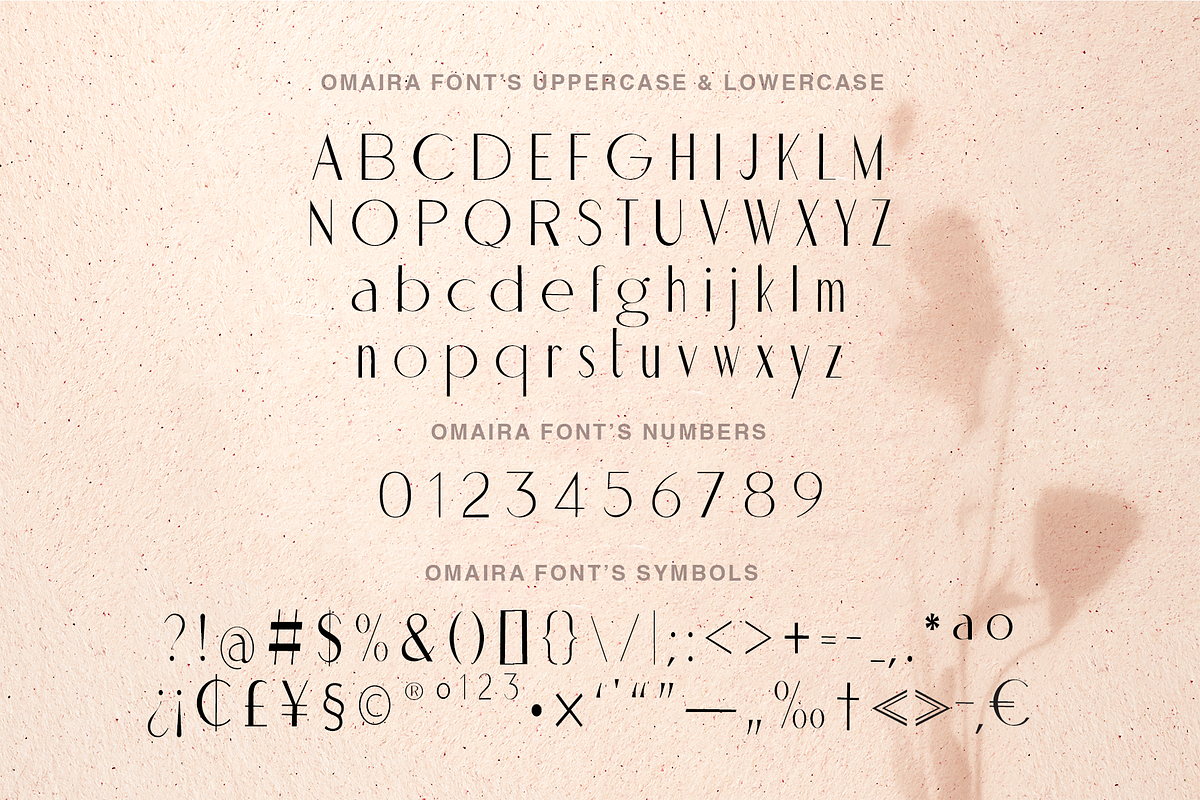 Omaira - Sleek Modern Sans Display, a Sans Serif Font by Cloverons (Photo 14 of 14)