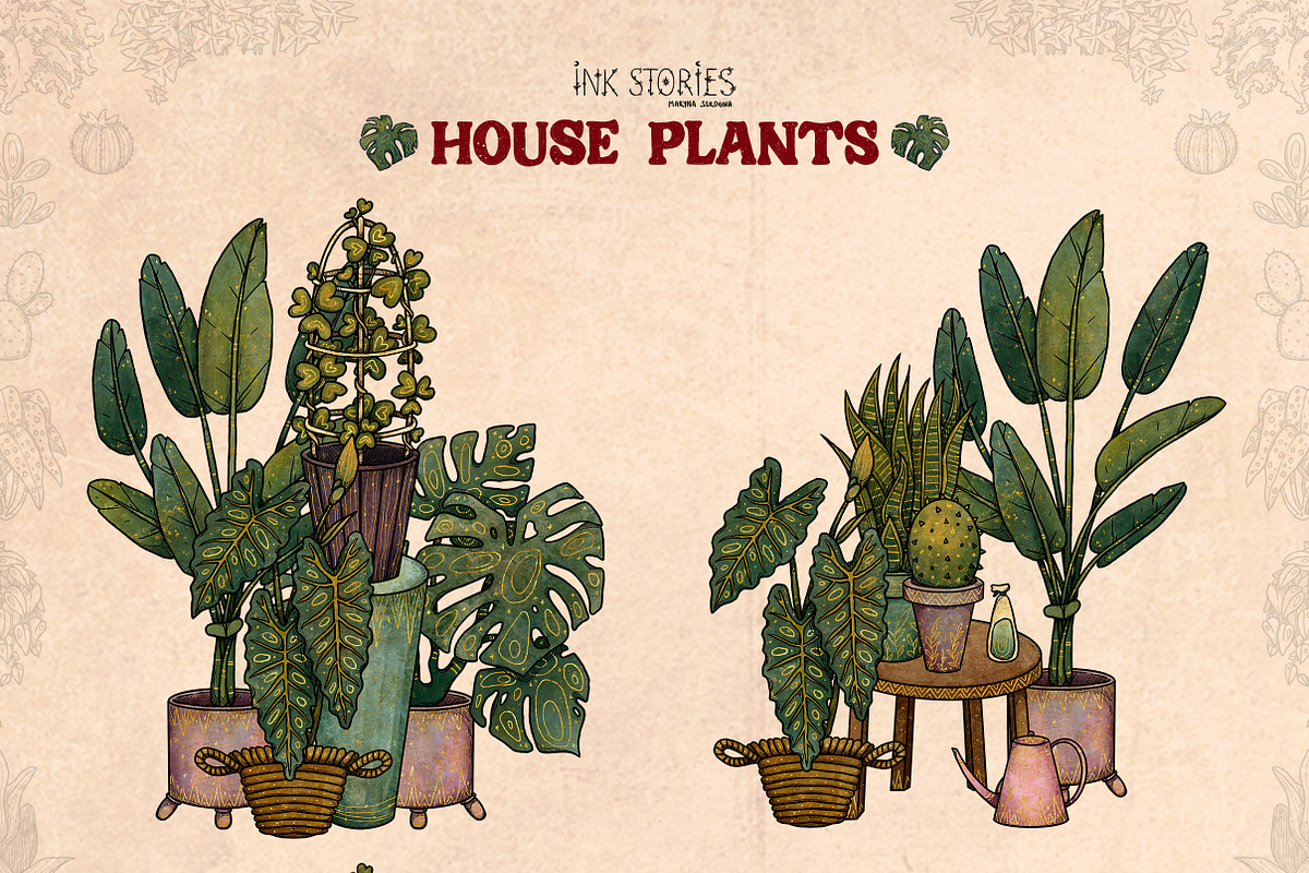 House Plants, an Object Illustration by Ink Stories (Photo 15 of 23)