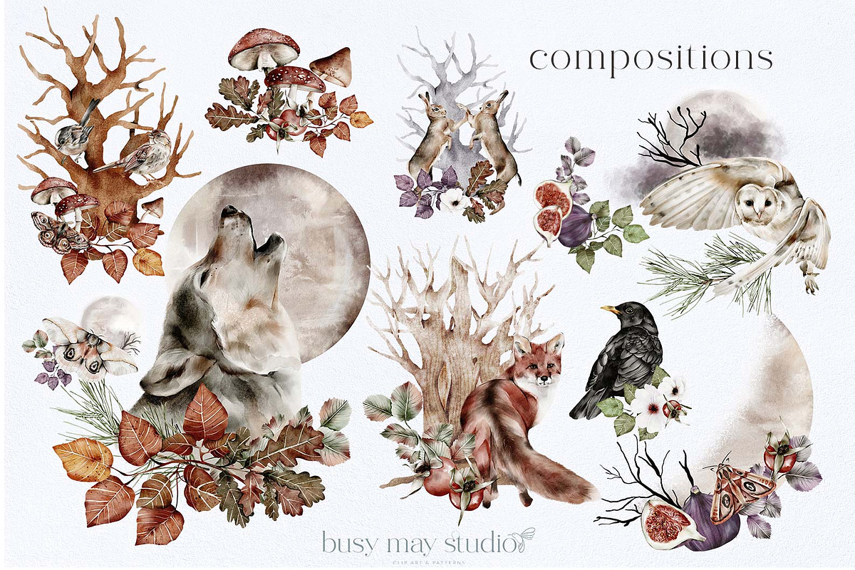 Forest Illustrations Mystic Autumn, an Animal Illustration by Busy May Studio (Photo 4 of 20)