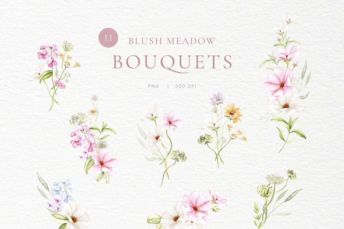 Blush Meadow Watercolor Wildflowers, a Decorative Illustration by Liliia Polos Illustration (Photo 4 of 12)