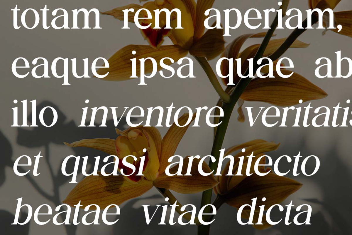 The Regalique Sans Serif Family Font, a Serif Font by UICreative (Photo 12 of 13)
