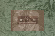 Botanical Imprint — Organic Papers, a Background Graphic by DigARTbyHavroshka (Thumbnail 15 of 15)