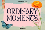 TAN - WHISPER, a Serif Font by TanType (Thumbnail 6 of 10)