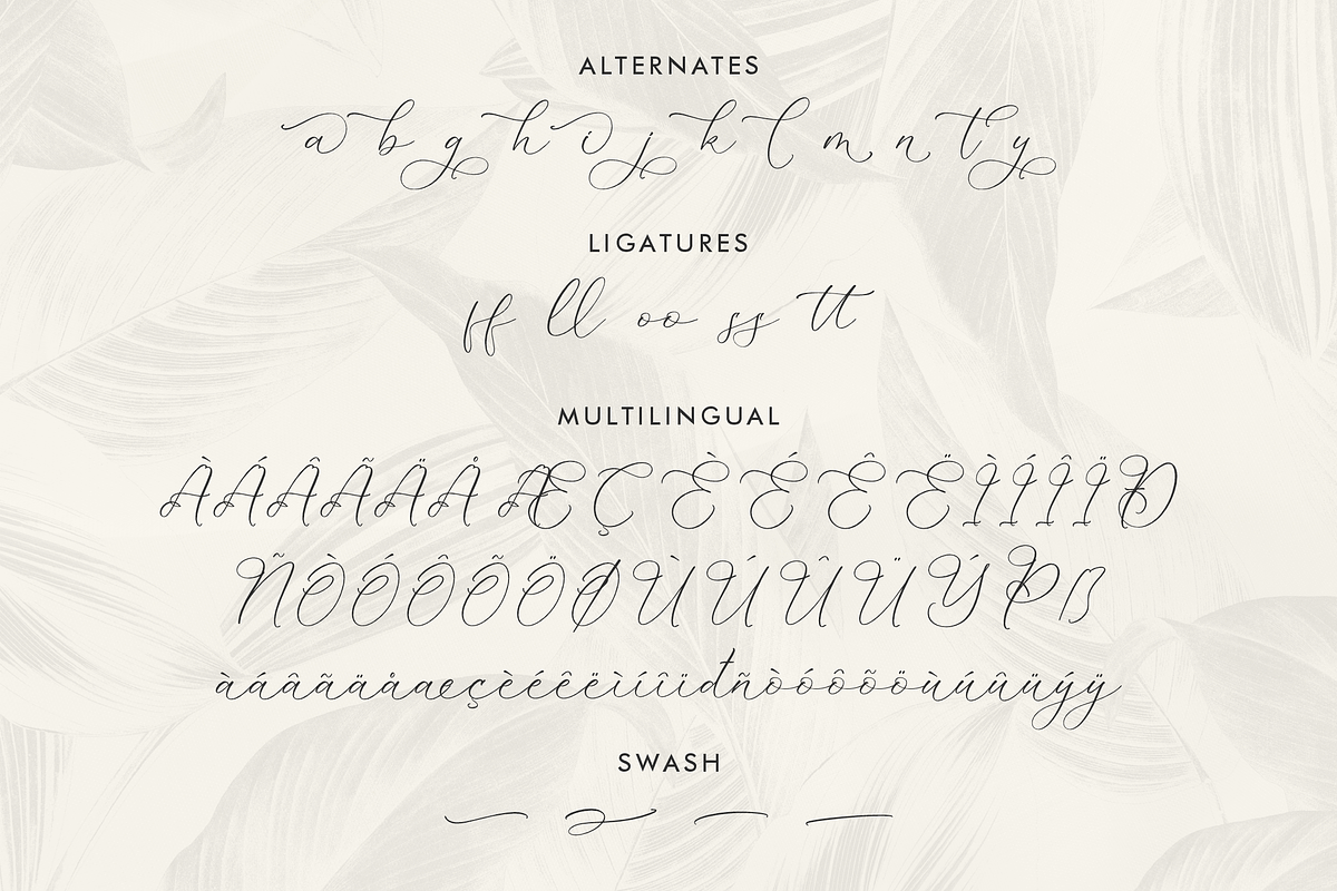 Kelarhisa Sokrate Beauty Script, a Script Font by Storytype Studio (Photo 14 of 15)