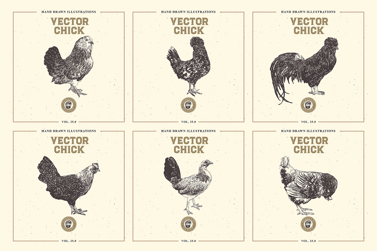 VECTOR CHICK HAND DRAWN BUNDLE VOL25, an Animal Illustration by pawellpi (Photo 5 of 9)