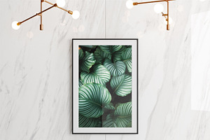 Single Poster Frame Mockup