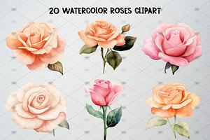 Watercolor Roses Clipart Set, 20 PNG