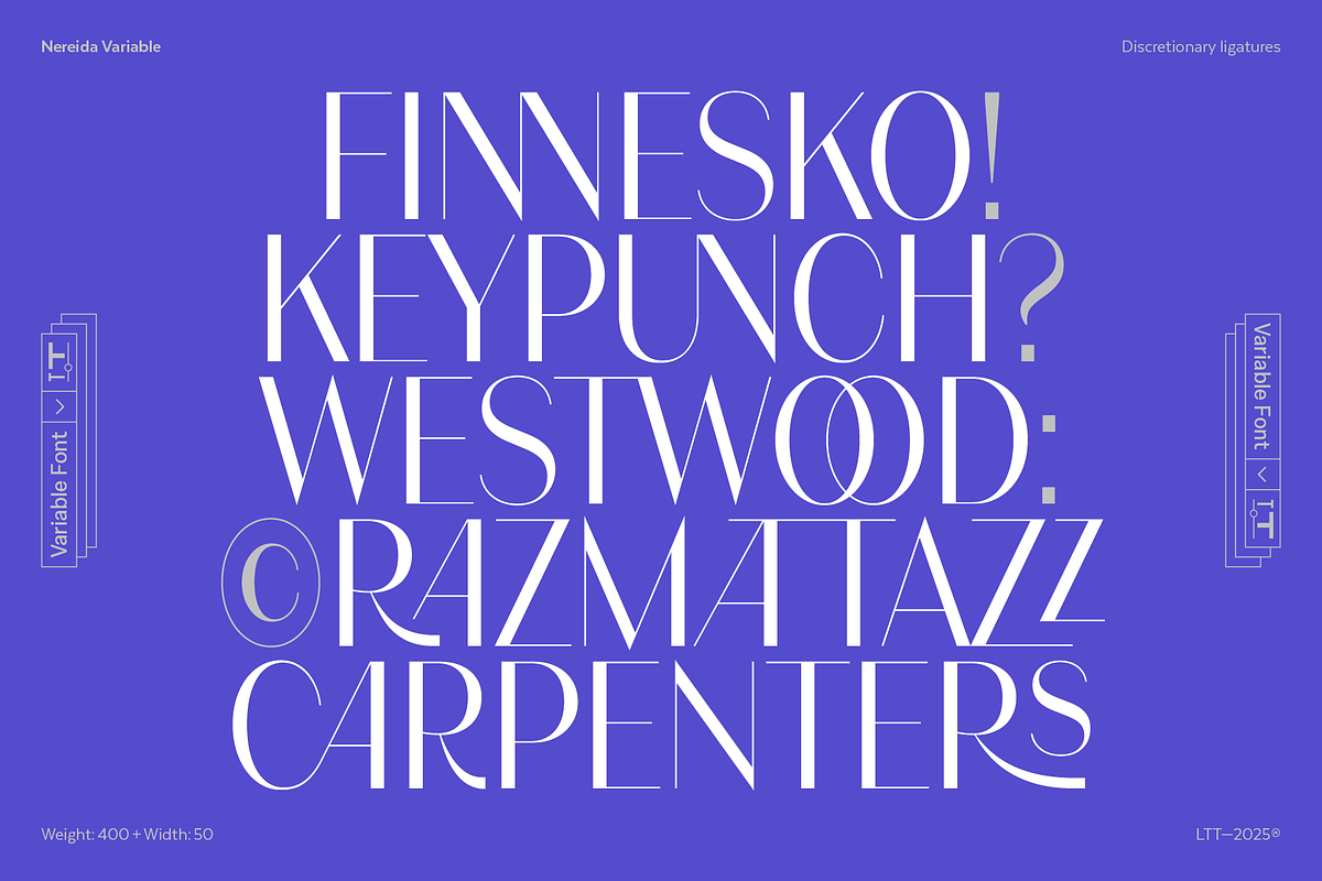 Nereida Variable, a Sans Serif Font by Latinotype (Photo 6 of 10)