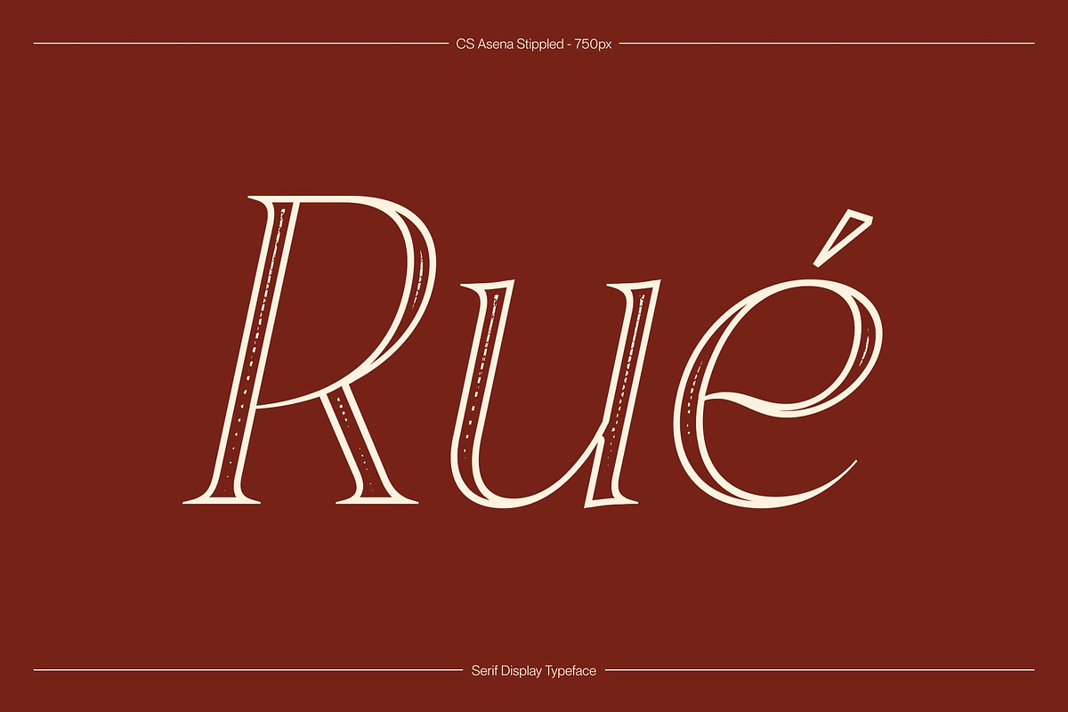 CS Asena Stippled, a Serif Font by Craft Supply Co. (Photo 2 of 8)
