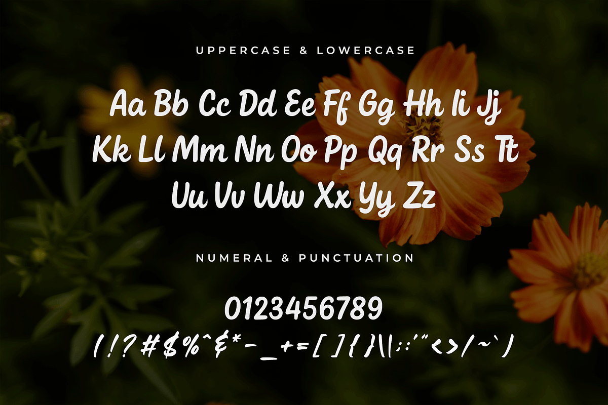 Calliora – Modern Handwritten Font, a Handwritten Font by overlaytemplates (Photo 4 of 5)