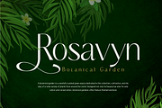 Belavey Modern Luxury Display Font, a Sans Serif Font by RHD Creative Studio (Thumbnail 3 of 9)