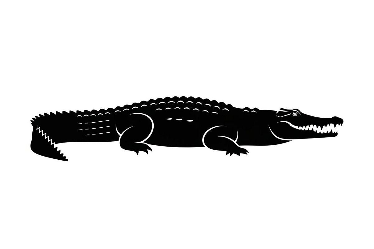 Crocodile Alligator Vector Bundle, an Illustration by jahid234 (Photo 42 of 51)