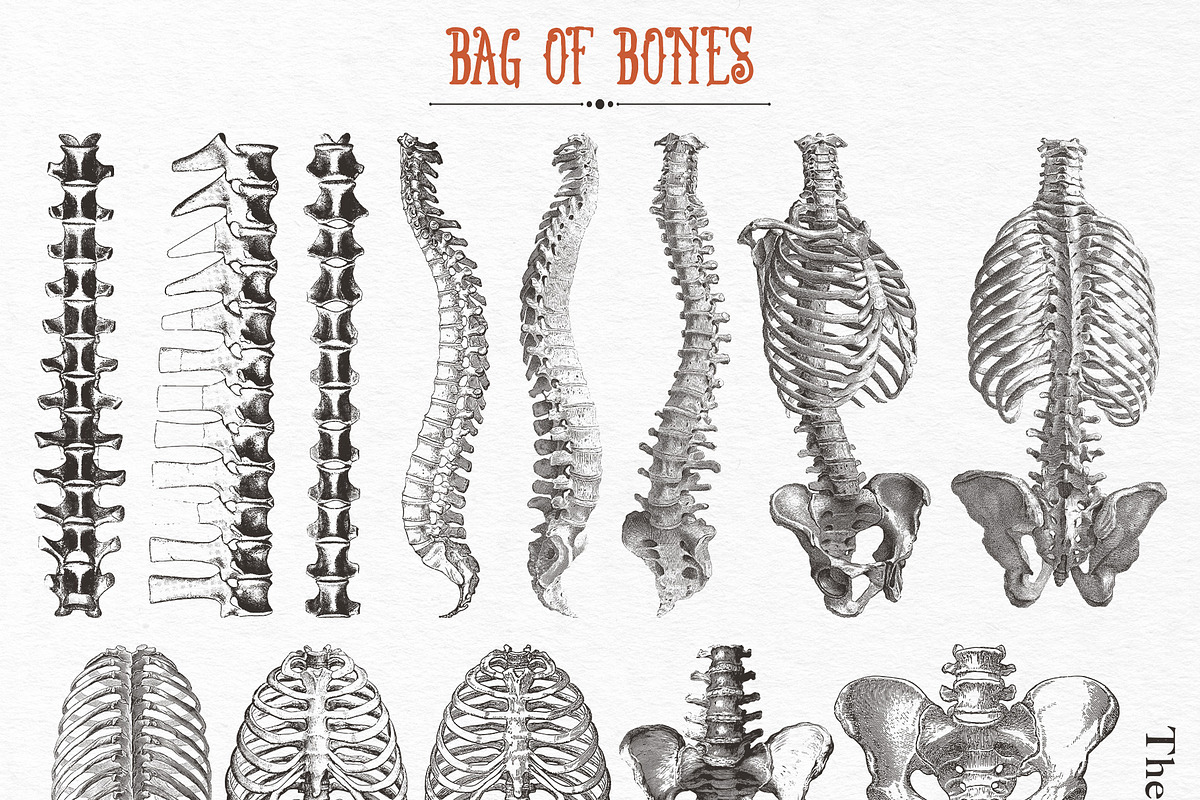 Bag of Bones | Vintage Clipart, a Seasonal Illustration by GVGraphics (Photo 7 of 13)