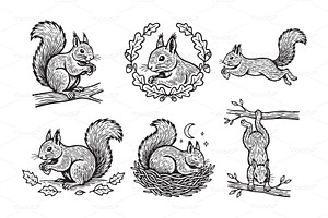Detailed vector set of squirrels, an Animal Illustration by yod67