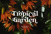More Than Dream, a Serif Font by Sans & Sons (Thumbnail 3 of 10)