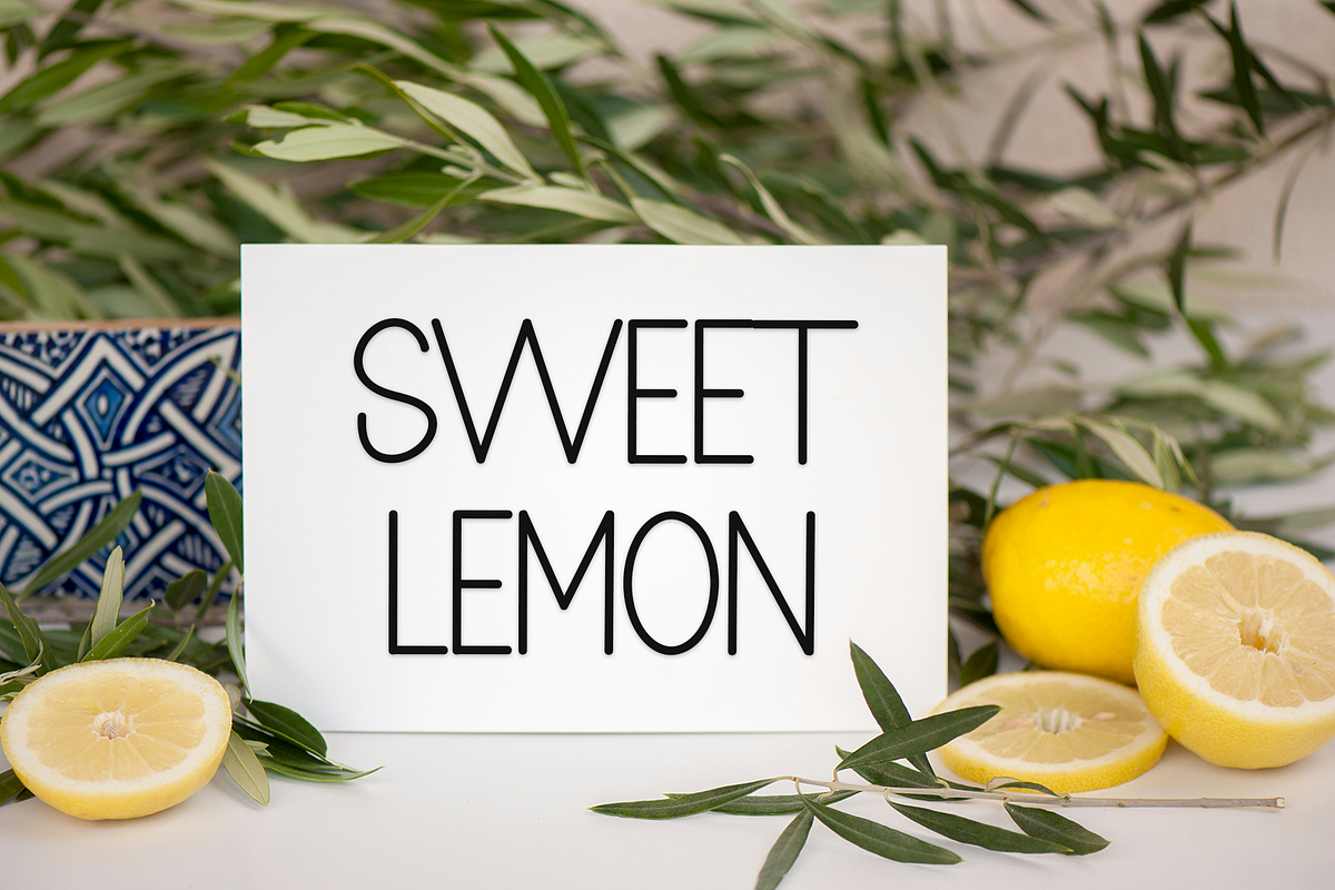 WILDWOOD, a Sans Serif Font by FreshTypeINK (Photo 4 of 8)