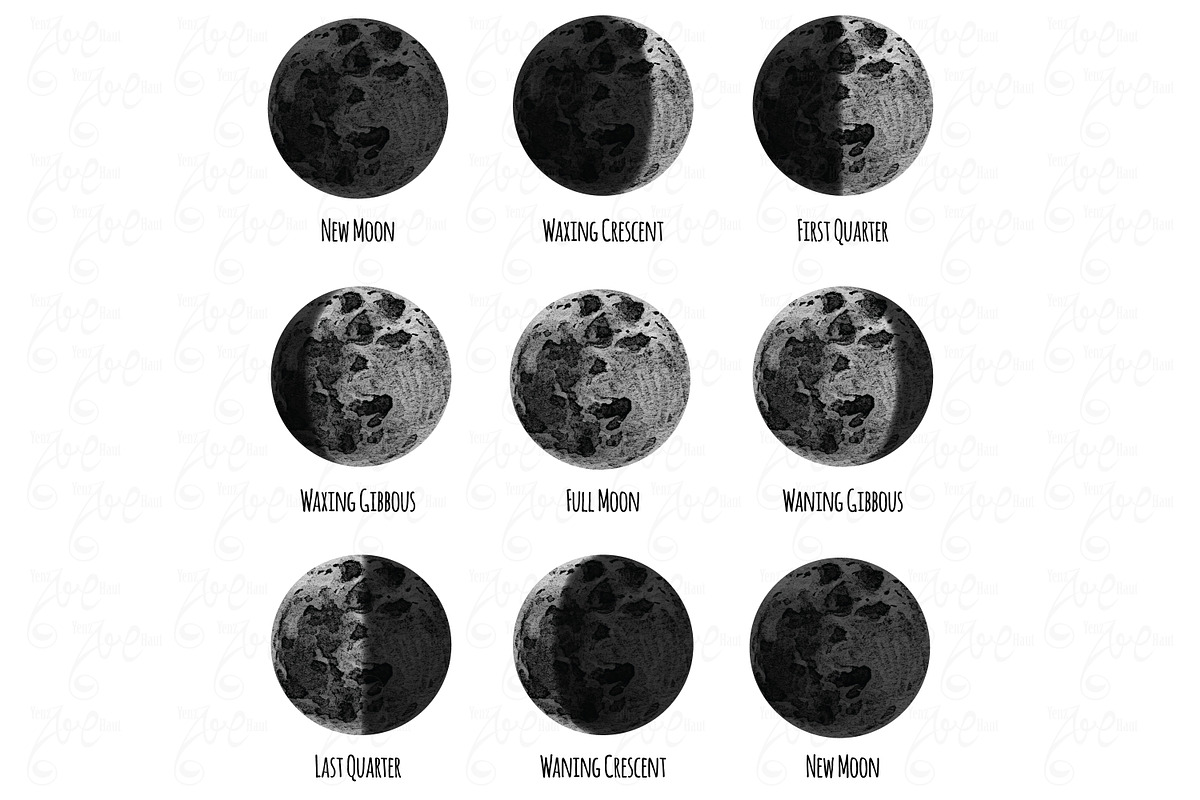 Phases of the Moon Collection Set, a Decorative Illustration by YenzArtHaut (Photo 2 of 4)
