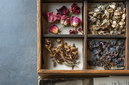 Wooden box filled with dried flowers on gray textured surface., an Abstract Photo by Natalia Klenova's Shop