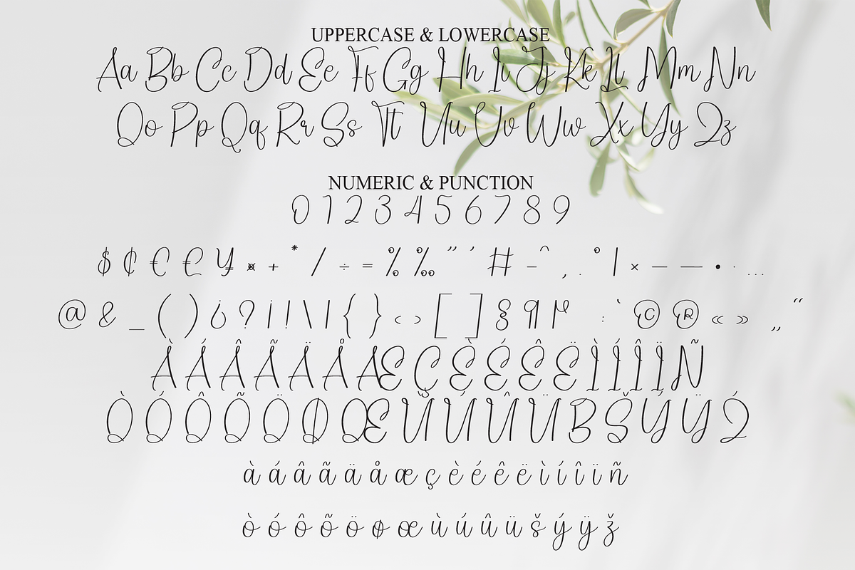 Kinder Someone | Script Font, a Handwritten Font by Scratchones (Photo 7 of 8)
