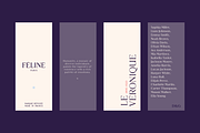 Grise - Variable Serif (18 Fonts), a Serif Font by VectorKiss GraphicsSupply (Thumbnail 7 of 18)