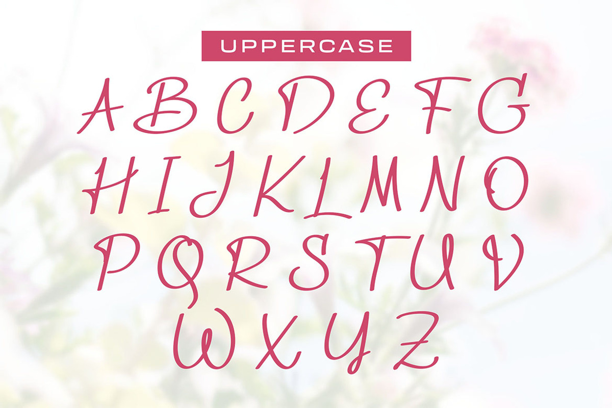 Rinasari - Handwritten Script Font, a Script Font by Morisco (Photo 5 of 6)
