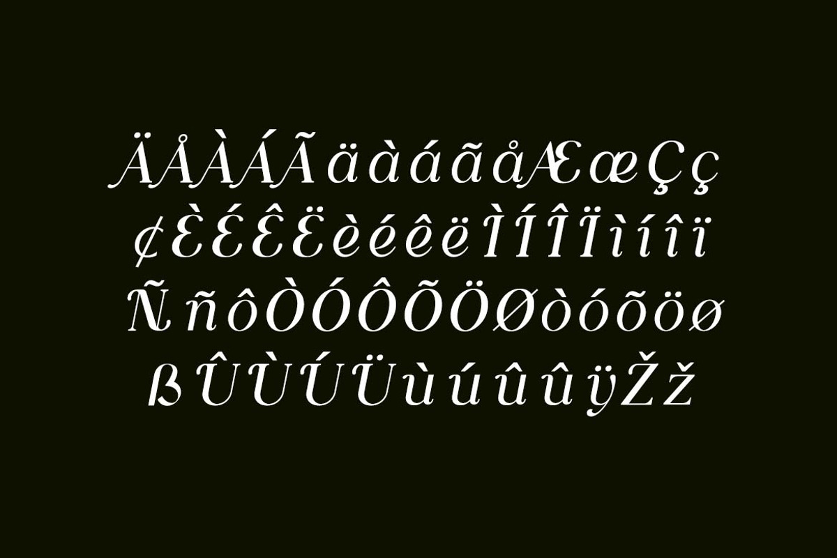 Bohemian Whisper Retro Serif Font, a Serif Font by UICreative (Photo 6 of 13)