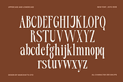 Elient – Elegant Fashion Serif Font, a Serif Font by MaikoHatta (Thumbnail 5 of 9)