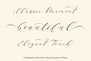 Brainlove - Beautiful Script, a Script Font by Aldedesign (Thumbnail 5 of 7)